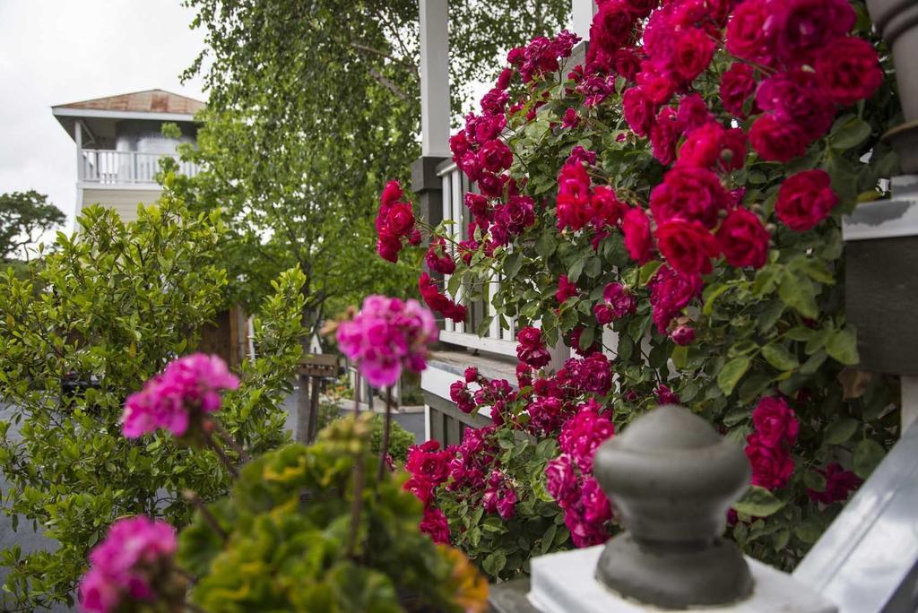 Forfriends Inn Wine Country Bed And Breakfast Santa Ynez Εξωτερικό φωτογραφία